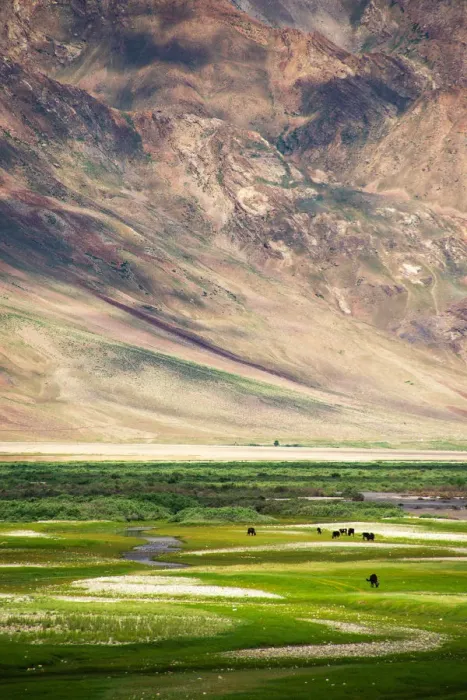 Framed Print : Landscape of Zanskar Valley Framed Print : Landscape of Zanskar Valley