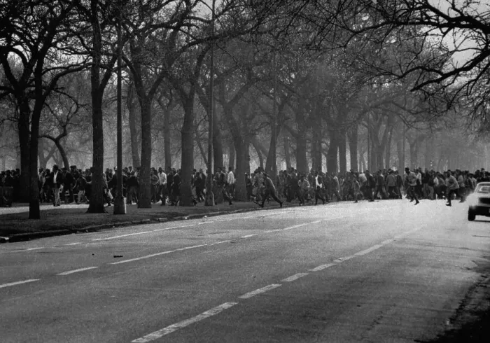 Framed Print : Large African American Gang Strolling Densely Across Park Framed Print : Large African American Gang Strolling Densely Across Park
