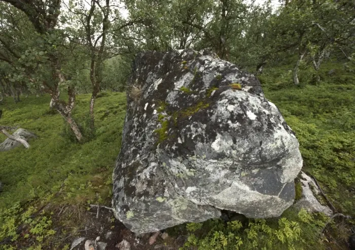 Framed Print : Large glacial erratic, Lofoten, Norway, Scandinavia, Europe Framed Print : Large glacial erratic, Lofoten, Norway, Scandinavia, Europe