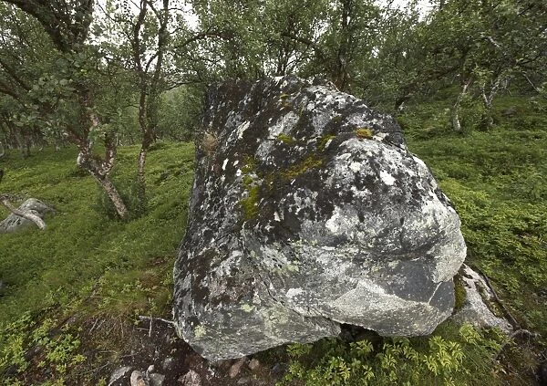 Large glacial erratic, Lofoten, Norway, Scandinavia, Europe