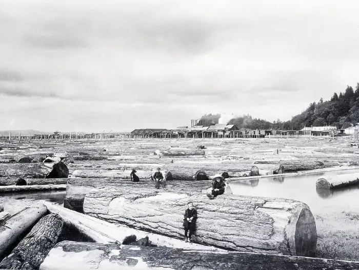 Framed Print : Large Sawmill On The Culumbie River Framed Print : Large Sawmill On The Culumbie River