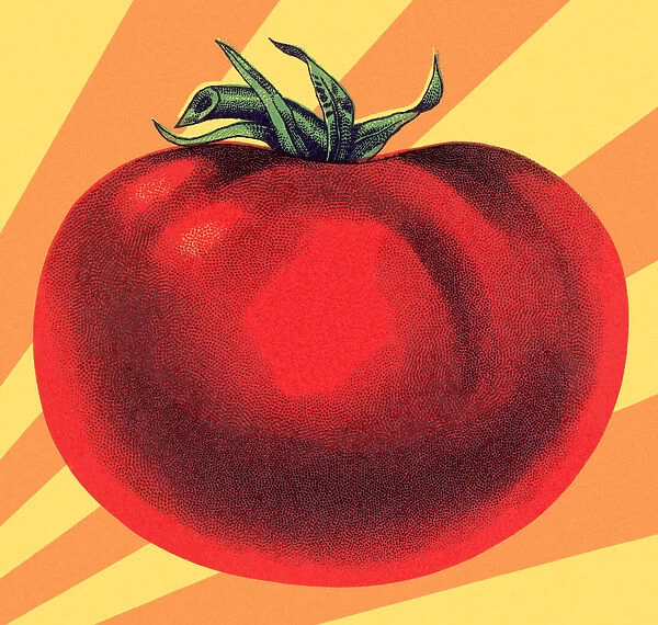 Large Tomato