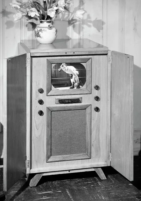 Framed Print : Large Tv Set; Boxer Looking At Camera Framed Print : Large Tv Set; Boxer Looking At Camera