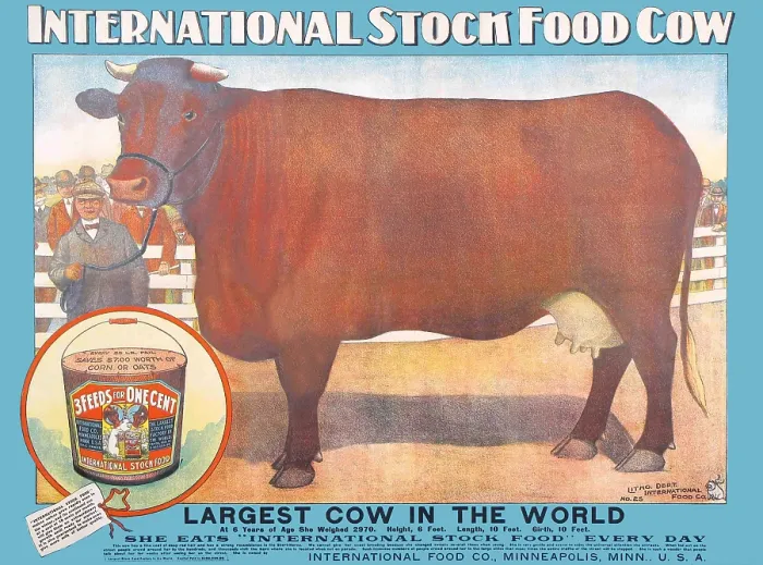Framed Print : Largest Cow in the World Framed Print : Largest Cow in the World