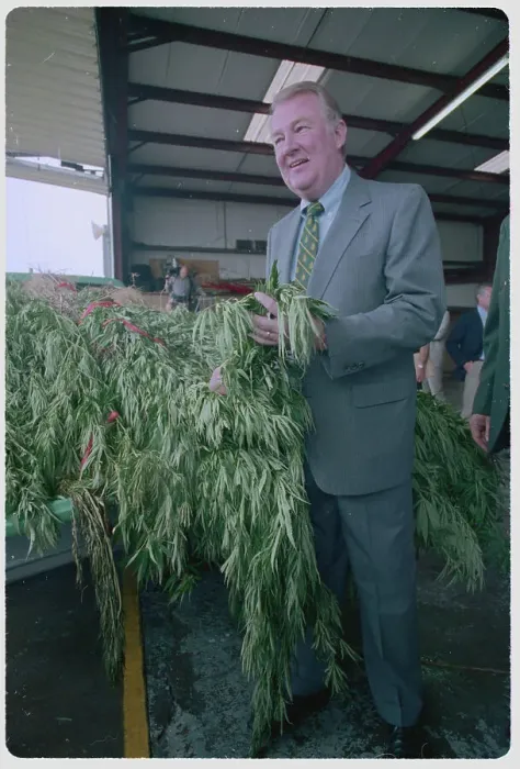 Framed Print : Larry Carver Holding Marijuana Plants Framed Print : Larry Carver Holding Marijuana Plants