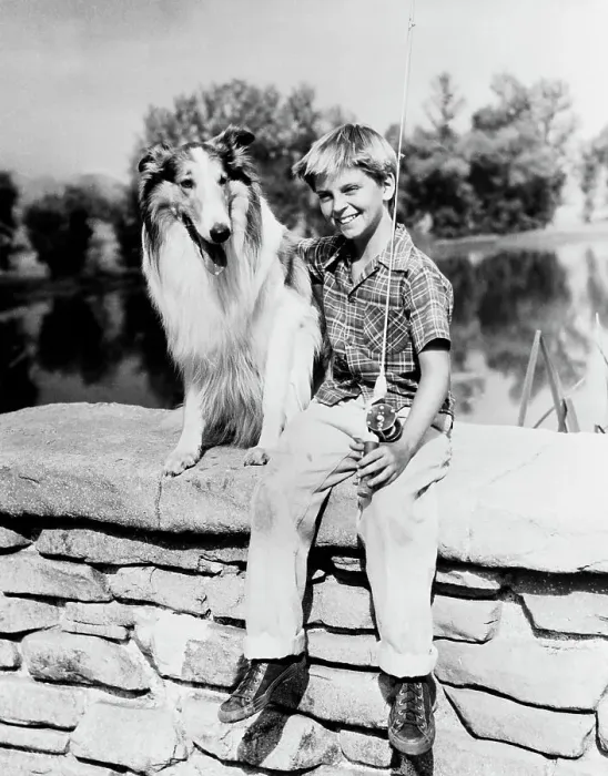 : Lassie and Jeff (Tommy Rettig) : Lassie and Jeff (Tommy Rettig)
