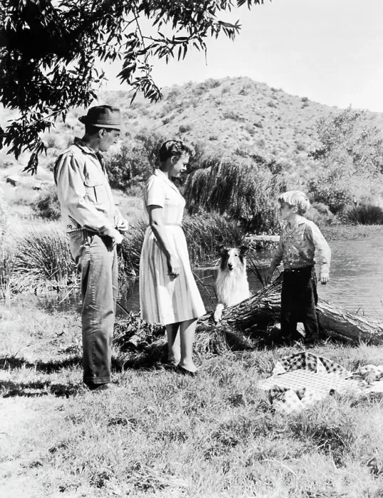 : Lassie, Jon Provost, June Lockhart, and Man : Lassie, Jon Provost, June Lockhart, and Man