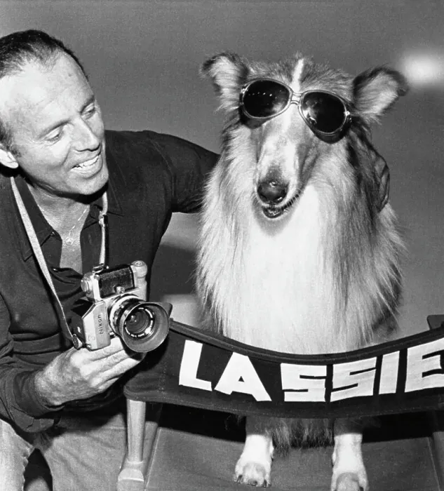 Framed Print : Lassie and Photographer Francesco Scavallo Framed Print : Lassie and Photographer Francesco Scavallo
