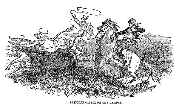 Lassoing cattle on the Pampas 1867