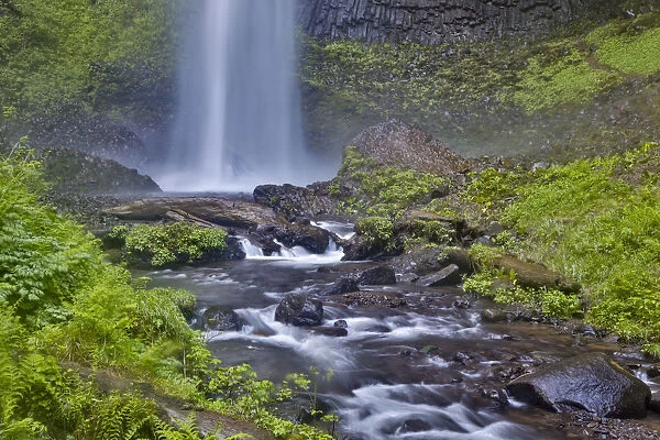Latourell Falls in Columbia River Gorge, Oregon, USA
