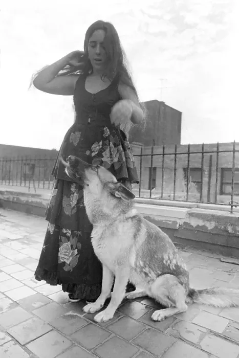Framed Print : Laura Nyro With A Dog