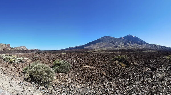 Lava field, Mt Teide volcano at back, Teide National Park, UNESCO World Heritage Site, El Jaral, Tenerife, Canary Islands, Spain