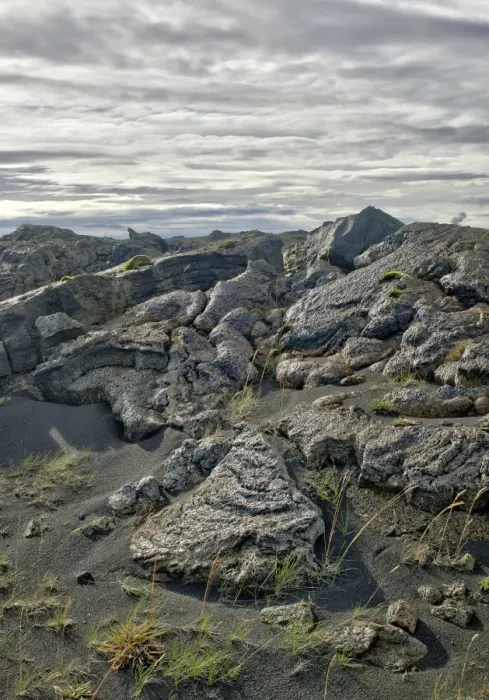 Framed Print : Lava field, Reykjanes, Iceland Framed Print : Lava field, Reykjanes, Iceland