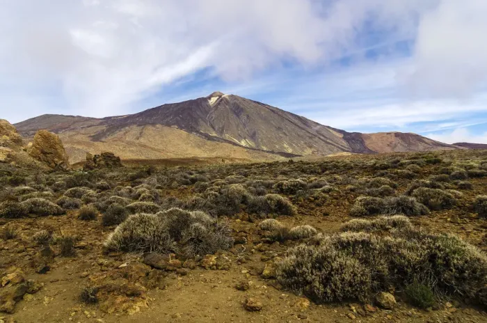 Framed Print : Lava landscape in Teide National Park, UNESCO World Natural Heritage Site, Tenerife, Canary Islands, Spain Framed Print : Lava landscape in Teide National Park, UNESCO World Natural Heritage Site, Tenerife, Canary Islands, Spain