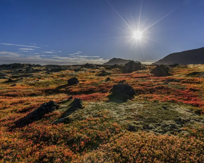 Framed Print : Lava and moss in the autumn, Western Iceland Framed Print : Lava and moss in the autumn, Western Iceland