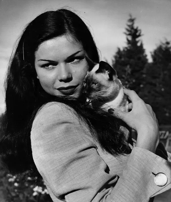 Framed Print : Laya Raki. 7th November 1953: The German-Javanese actress Framed Print : Laya Raki. 7th November 1953: The German-Javanese actress