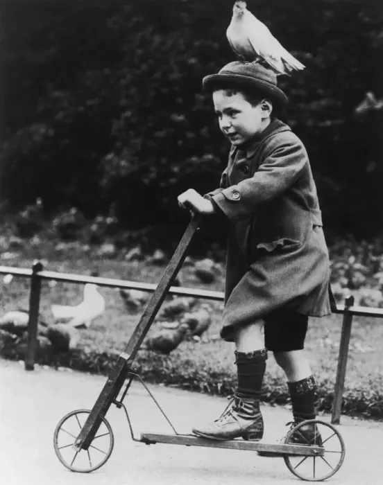 Framed Print : Lazy Dove. A small boy on a scooter and with a dove perched on his hat, circa 1930 Framed Print : Lazy Dove. A small boy on a scooter and with a dove perched on his hat, circa 1930
