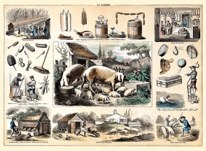Framed Print : Le Cochon and Products Framed Print : Le Cochon and Products