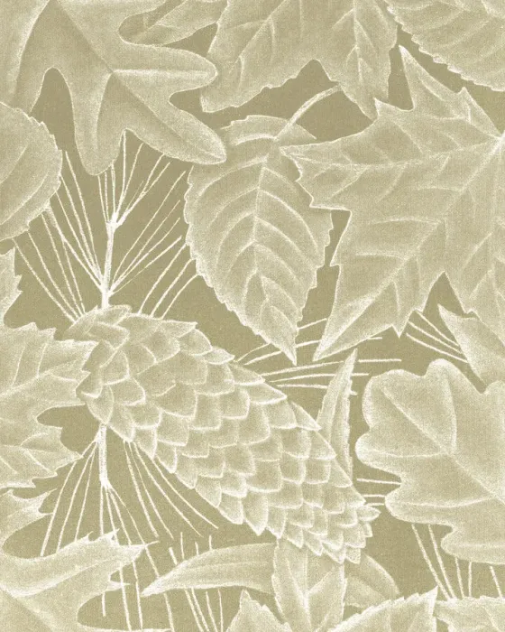Framed Print : Leaves and Pinecone Framed Print : Leaves and Pinecone