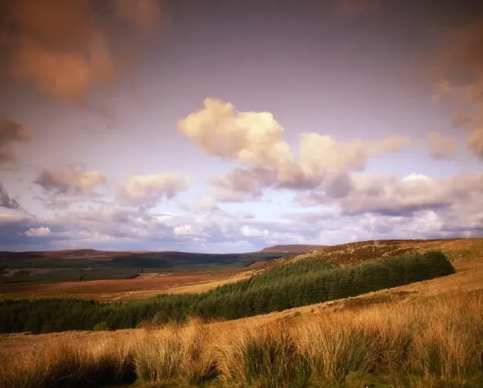 Framed Print : Co Leitrim, forestry land near Ballinamore, Ireland Framed Print : Co Leitrim, forestry land near Ballinamore, Ireland