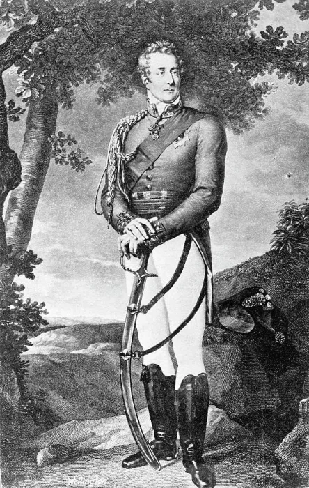 Framed Print : Full Length Of Duke Of Wellington