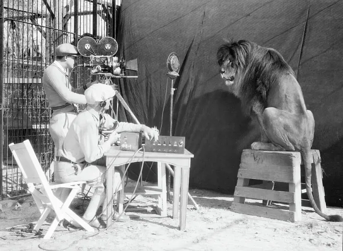 Framed Print : Leo the Lion Being Recorded Framed Print : Leo the Lion Being Recorded