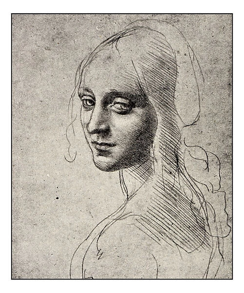 Leonardos sketches and drawings: Angel of Virgin of