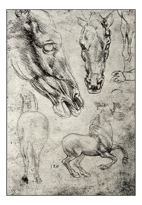 Framed Print : Leonardo's sketches and drawings: horse Framed Print : Leonardo's sketches and drawings: horse