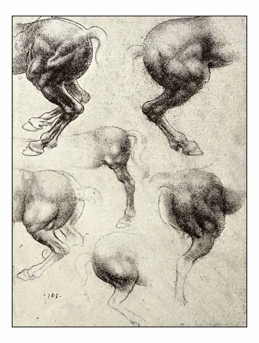 Framed Print : Leonardo's sketches and drawings: horse Framed Print : Leonardo's sketches and drawings: horse