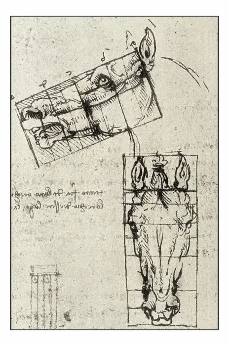Framed Print : Leonardo's sketches and drawings: horse Framed Print : Leonardo's sketches and drawings: horse