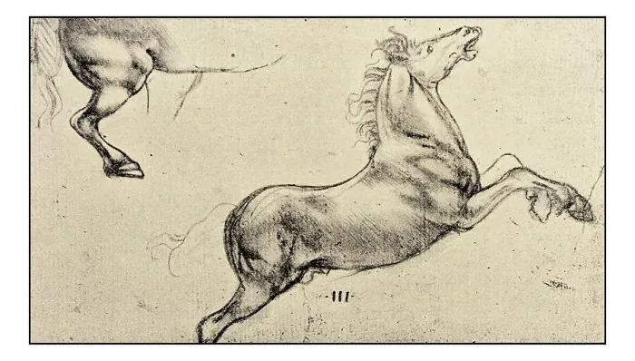 Framed Print : Leonardo's sketches and drawings: horse Framed Print : Leonardo's sketches and drawings: horse