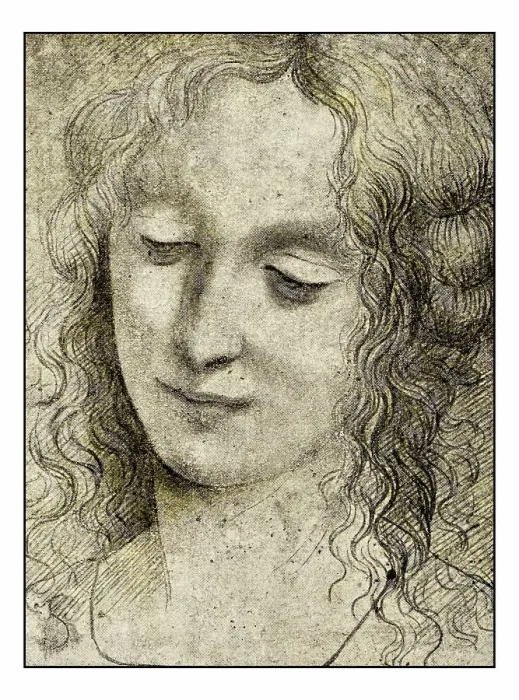 Framed Print : Leonardo's sketches and drawings: Virgin of Virgin of the Rocks Framed Print : Leonardo's sketches and drawings: Virgin of Virgin of the Rocks