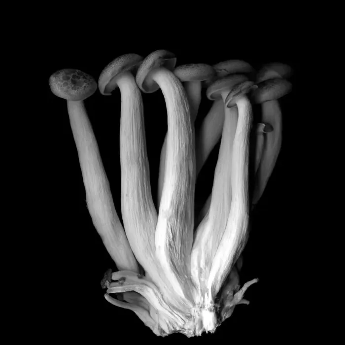 Framed Print : Les Pleureuses En Deuil (B&w) Framed Print : Les Pleureuses En Deuil (B&w)