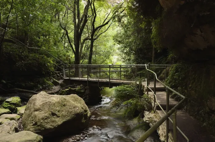 Framed Print : Leura cascades, Blue Mountains Framed Print : Leura cascades, Blue Mountains