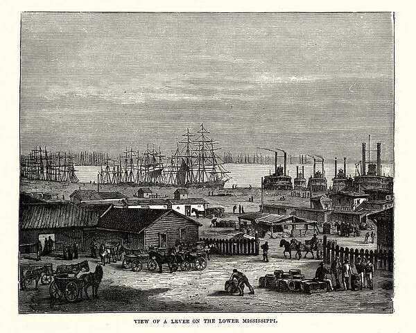 Levee on the Lower Mississippi, 19th Century