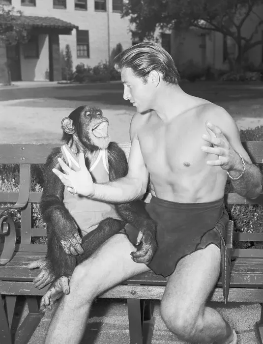 Framed Print : Lex Barker and Cheeta on Bench Framed Print : Lex Barker and Cheeta on Bench
