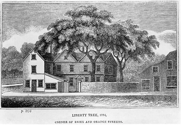 Liberty Tree, 1744