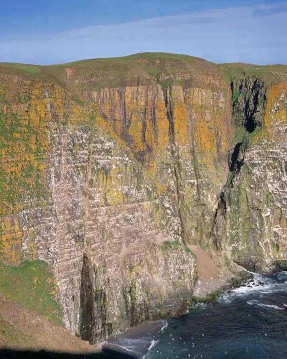 Framed Print : Lichen colored cliffs, Cape Saint Marys Ecological Reserve, Newfoundland, Canada