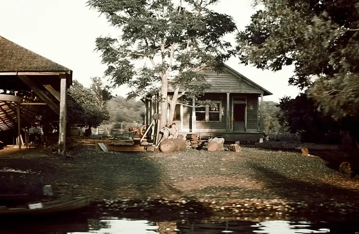 Framed Print : Life On The Bayou Framed Print : Life On The Bayou