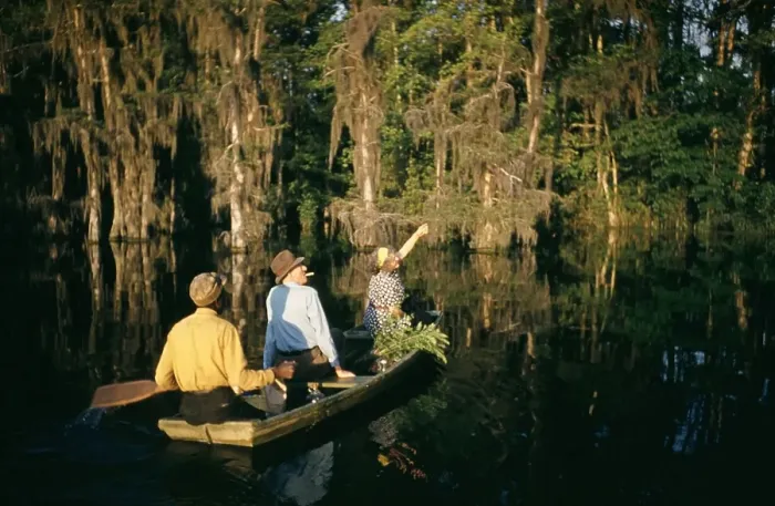 Framed Print : Life On The Bayou Framed Print : Life On The Bayou