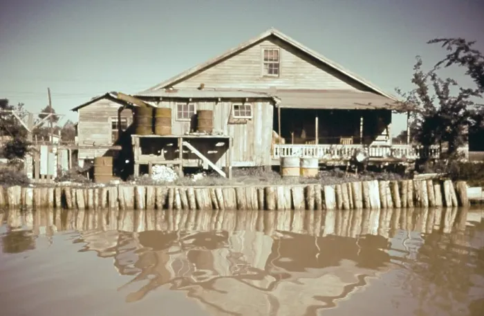 Framed Print : Life On The Bayou Framed Print : Life On The Bayou