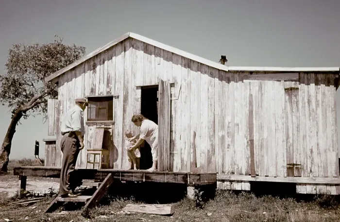 Framed Print : Life On The Bayou Framed Print : Life On The Bayou