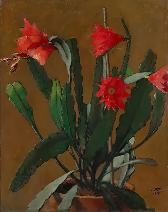 Framed Print : Still Life With Blooming Cactus Framed Print : Still Life With Blooming Cactus