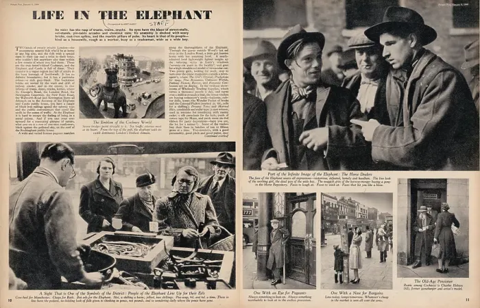 Framed Print : Life In The Elephant