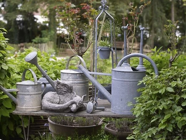 Still life, old watering cans made of zinc in a romantic garden