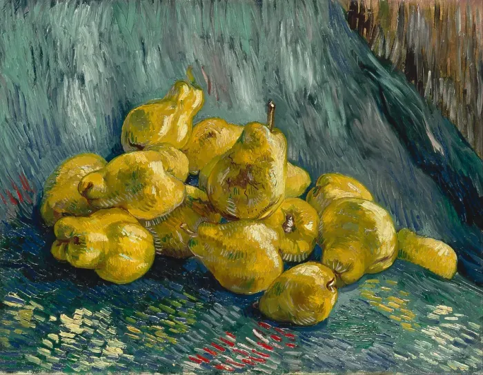Framed Print : Still Life with Quinces, 1887-1888. Artist: Gogh, Vincent, van (1853-1890) Framed Print : Still Life with Quinces, 1887-1888. Artist: Gogh, Vincent, van (1853-1890)