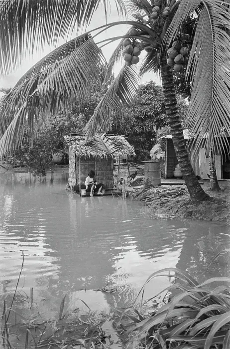 Framed Print : Life In Saigon Framed Print : Life In Saigon