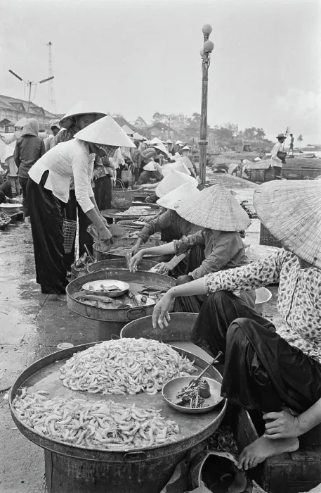 Framed Print : Life Along The Saigon River Framed Print : Life Along The Saigon River