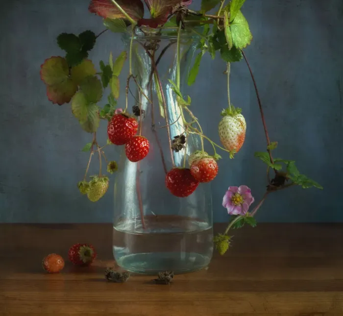 Framed Print : Still Life With Strawberry Plant Framed Print : Still Life With Strawberry Plant