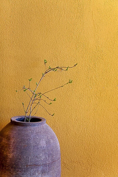 Still life with a terracotta amphora and a branch in front of a yellow wall, Turkey